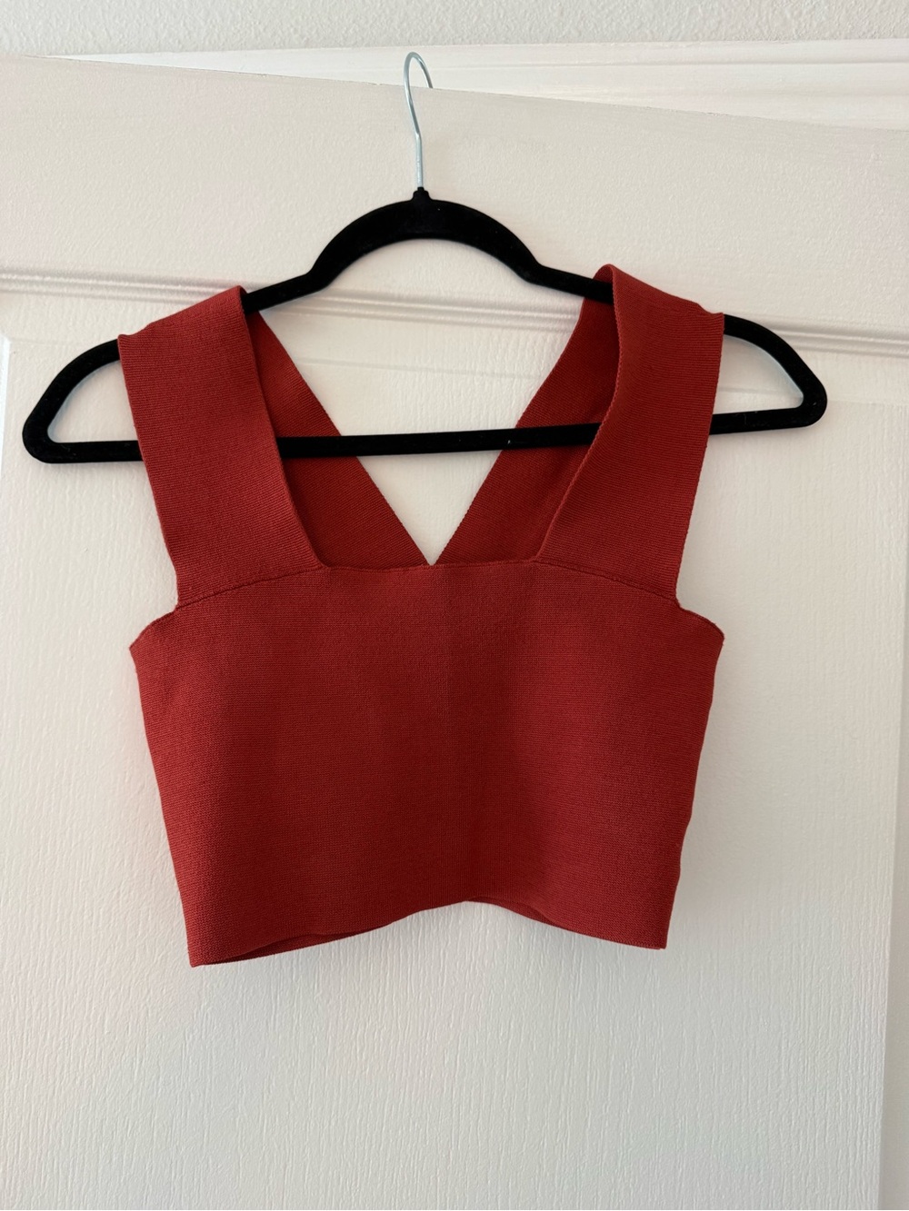 A.L.C. Deep V-Back Rust Crop Top